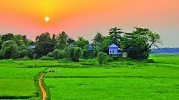 'সবুজ জমিনের প্রার্থনা'