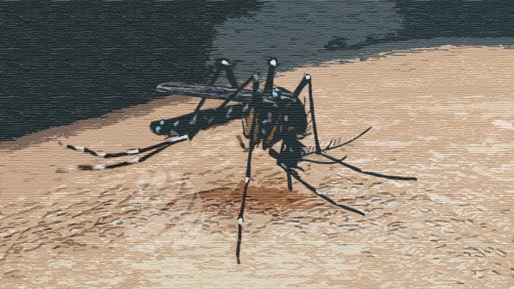 ডেঙ্গুতে আরও ৩ জনের মৃত্যু, হাসপাতালে ভর্তি ৫৬৫